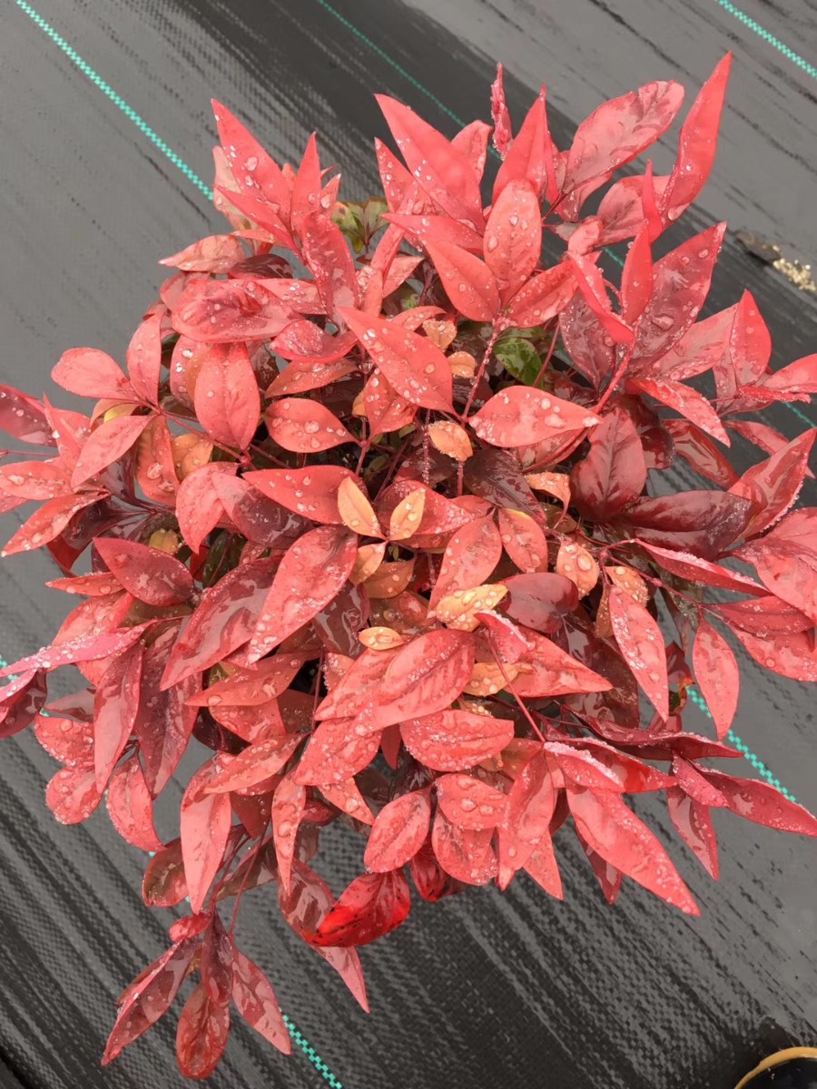 關(guān)于品質(zhì)，我們“用圖”說話