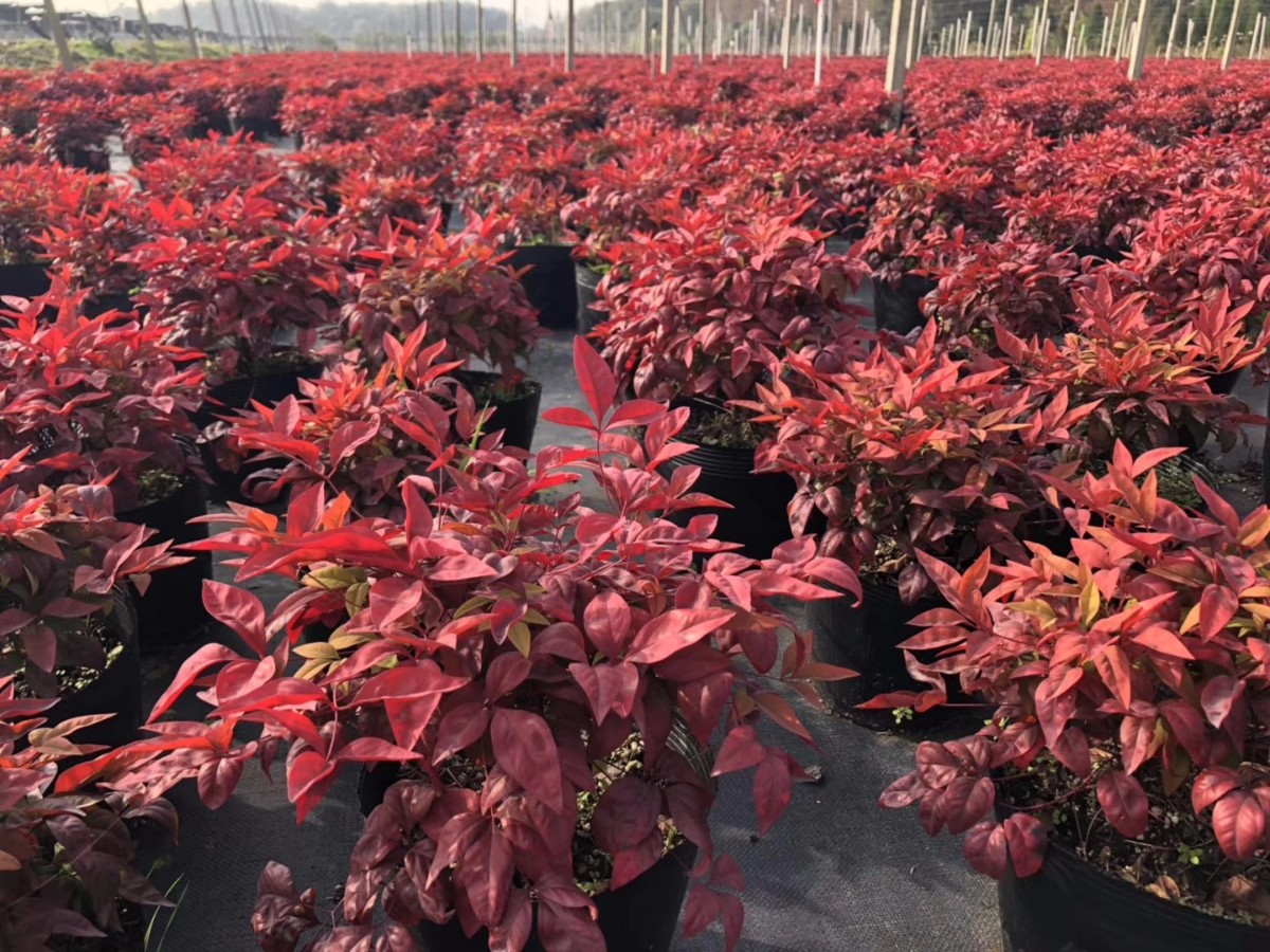 關(guān)于品質(zhì)，我們“用圖”說話