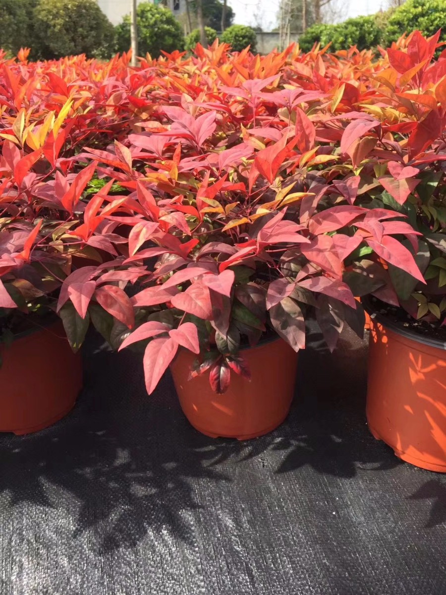 關(guān)于品質(zhì)，我們“用圖”說話